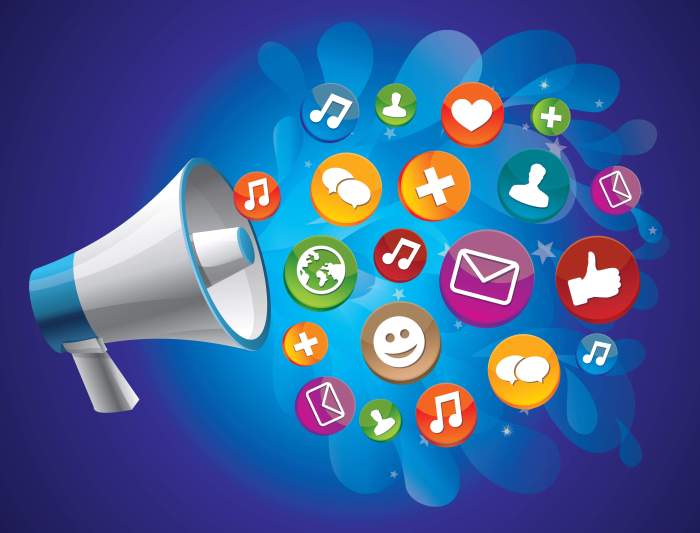 Developing a Social Media Voice