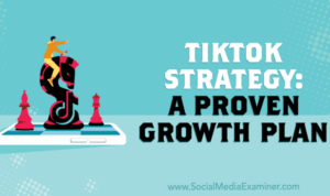 Building a Strategy for TikTok